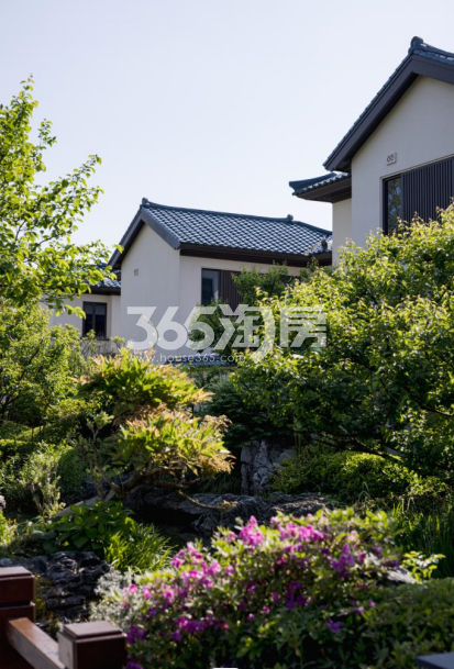 滨江天目山晓城实景图
