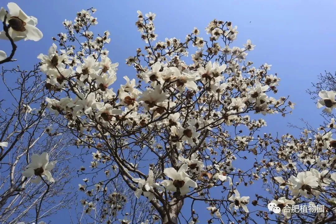 宁德跑方马拉魅力搏与行 以奔松举式感受城市脉山海