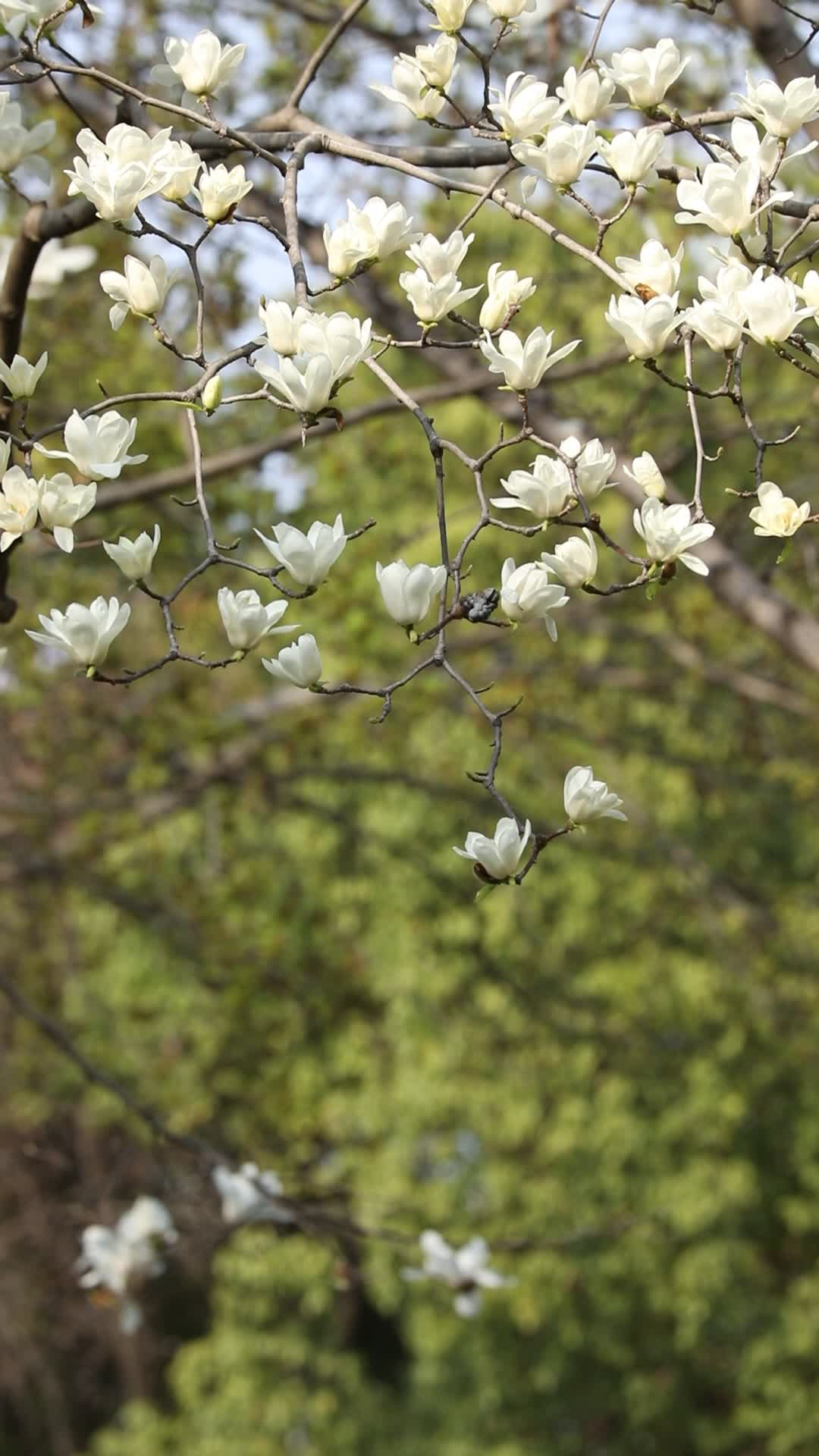 汉阴县公安局森林警察大队扎实开展夏季林区治安打击整治专项行动