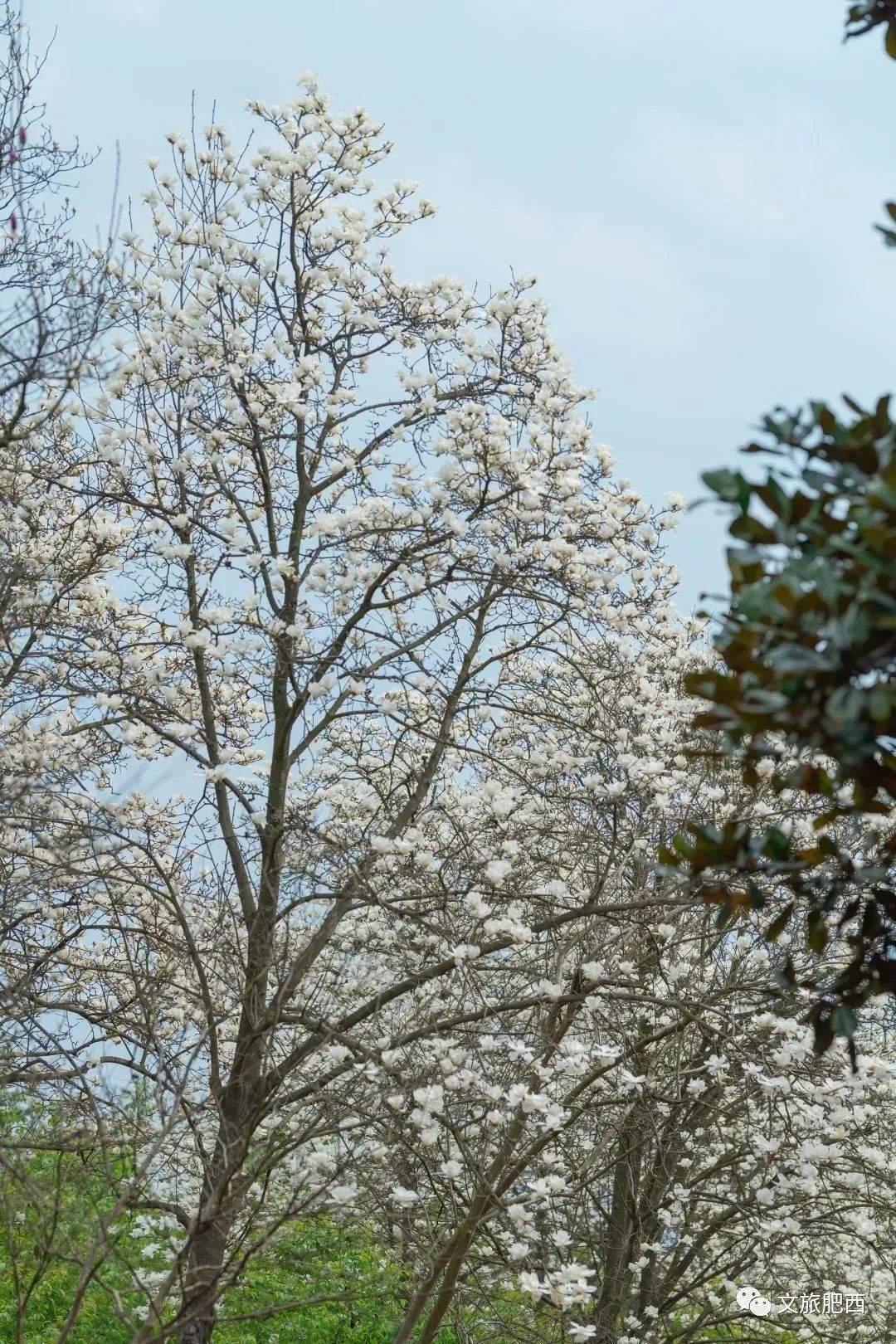 让世到界尝漳州味
