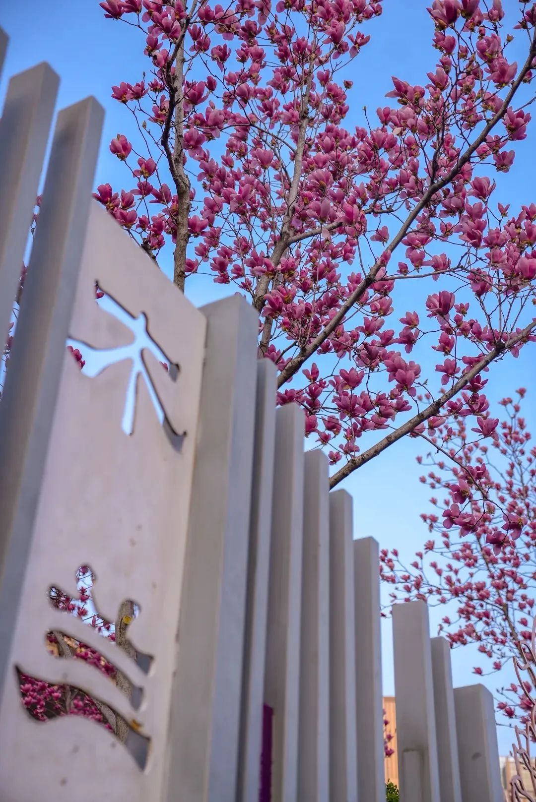 让世到界尝漳州味