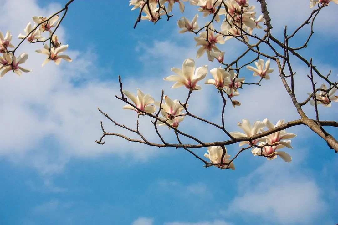 大队安局县公宣传警察汉阴森林森林开展防火