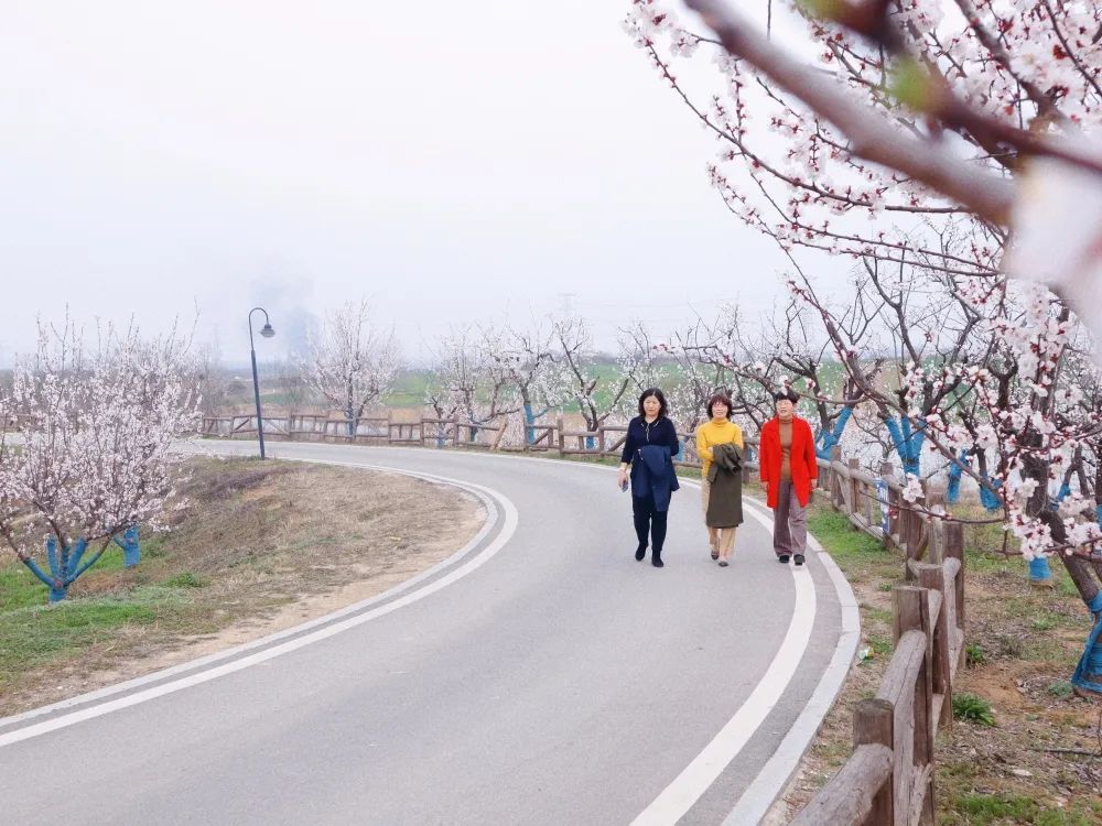 中信银行马鞍山分行首笔“烟商贷”落地