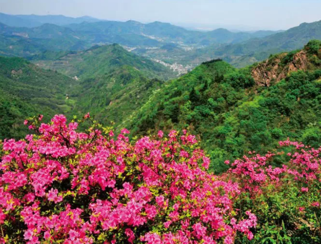 闽晋两地李林烈士共同举办纪念活动