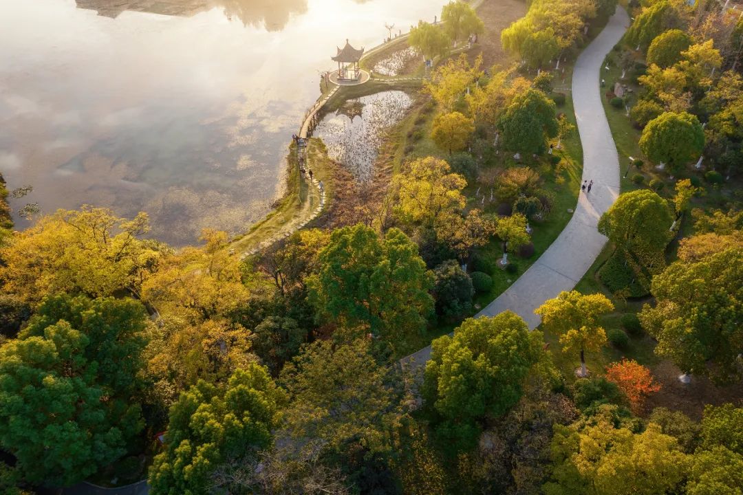 绿通重疾再升资源人寿广覆盖泰康医疗级，