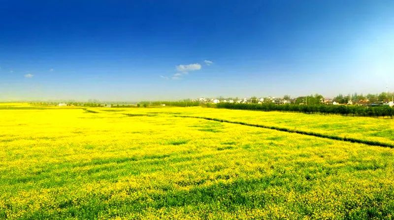 工商银行马鞍山向山支行积极开展反洗钱宣传活动