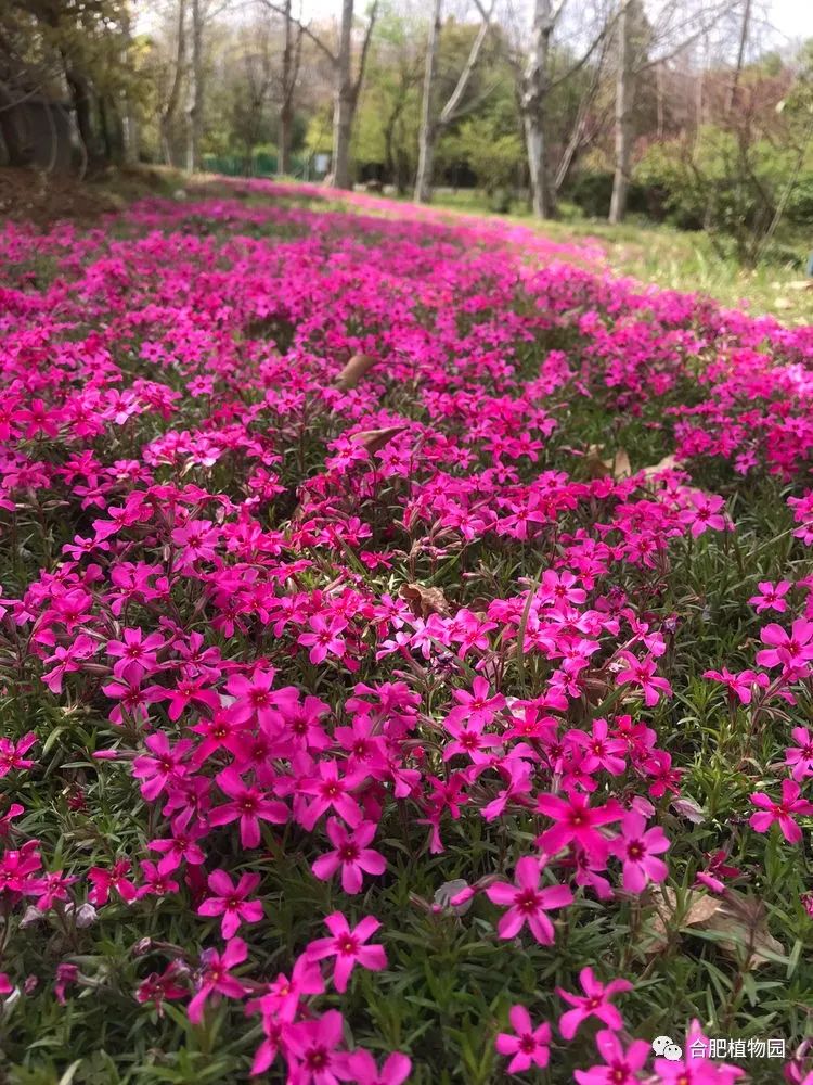 让孩热不手说生病对您妈妈冷不幼园携园长这样子不长长幼穿衣家教育集团