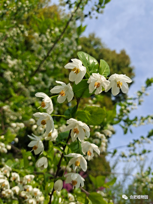 兴业银行成为数字人民币运营机构一周年： 应用版图不断扩大 支付交易额翻倍