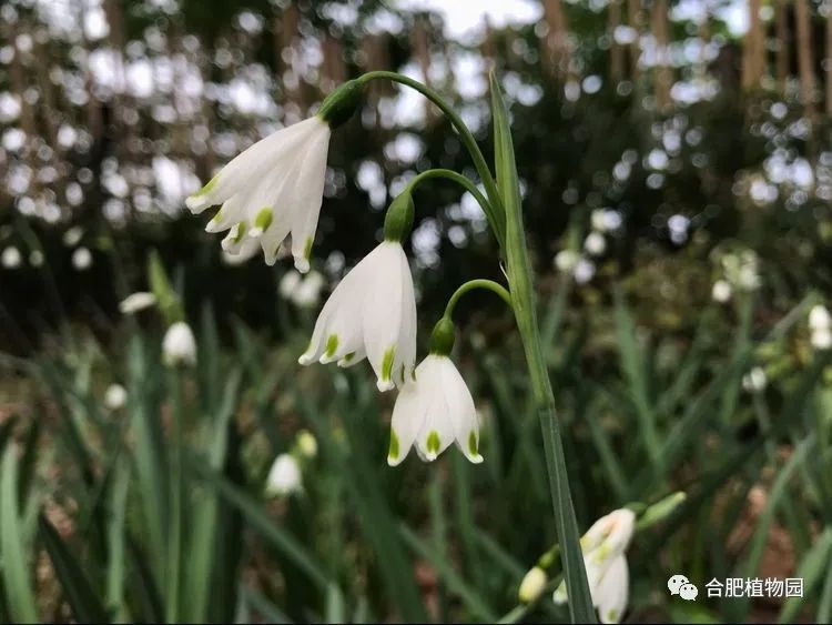 廉暨职述责任民法目标汉阴县人岗位测评度述大会开2考核院召3年