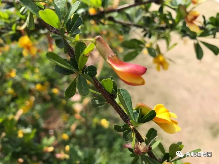 中信银行合肥分行为上市企业搭建MBS系统 解决财务管理难题