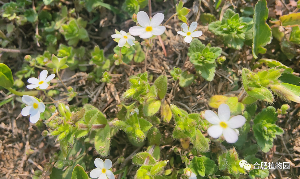 破兴业兴解科技企合肥资难银行业融速贷分行