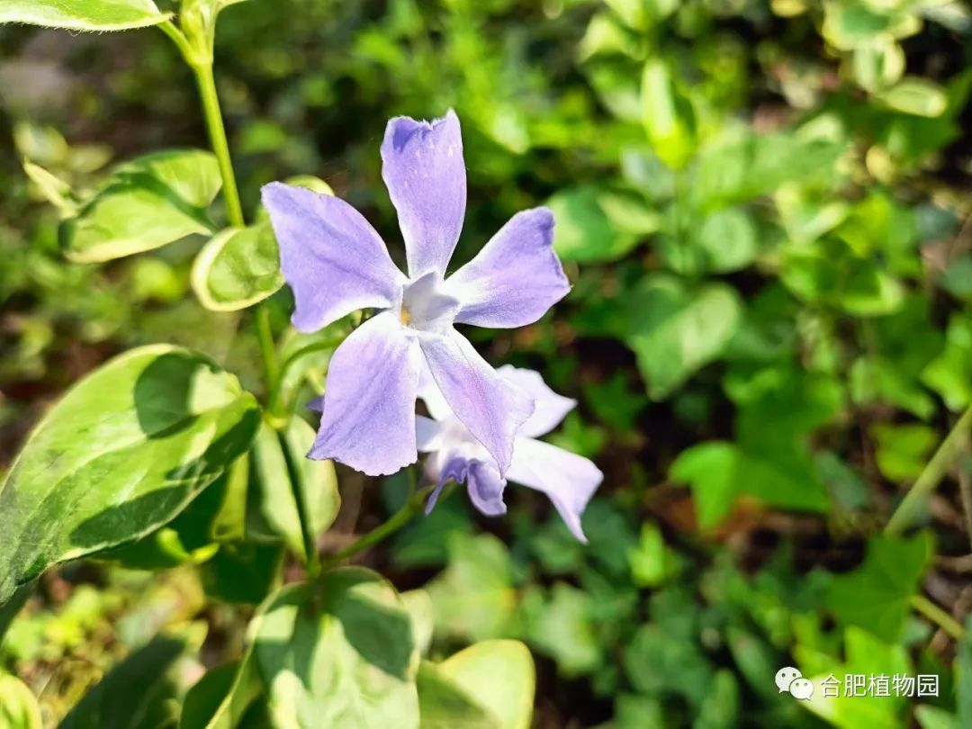 中信银行芜湖分行精心组织开展儿童节系列活动
