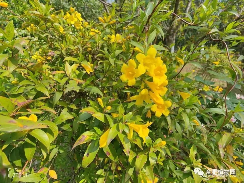 中信银行芜湖分行开展“唱响主旋律，奋斗新征程”合唱大赛