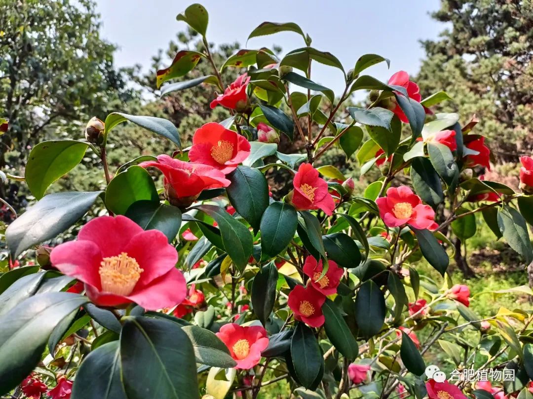 汉阴县实验小学多措并举拧紧校园“安全阀”