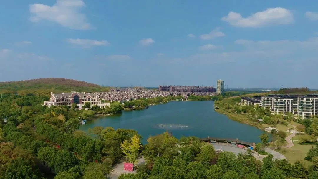 岗集鹭山湖.jpg