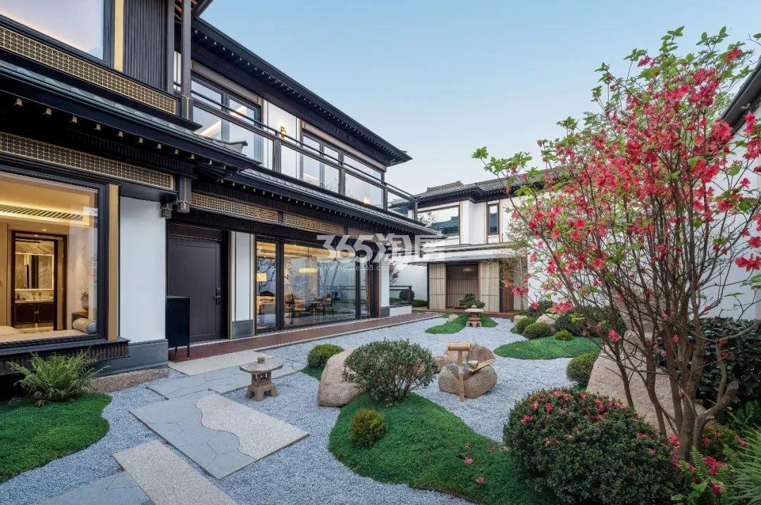 大华春山明月观止实景图