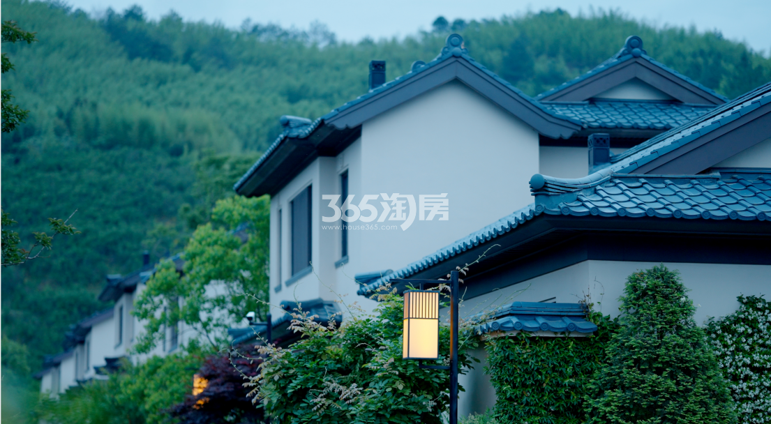 滨江天目山晓城最新动态