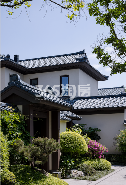 滨江天目山晓城实景图