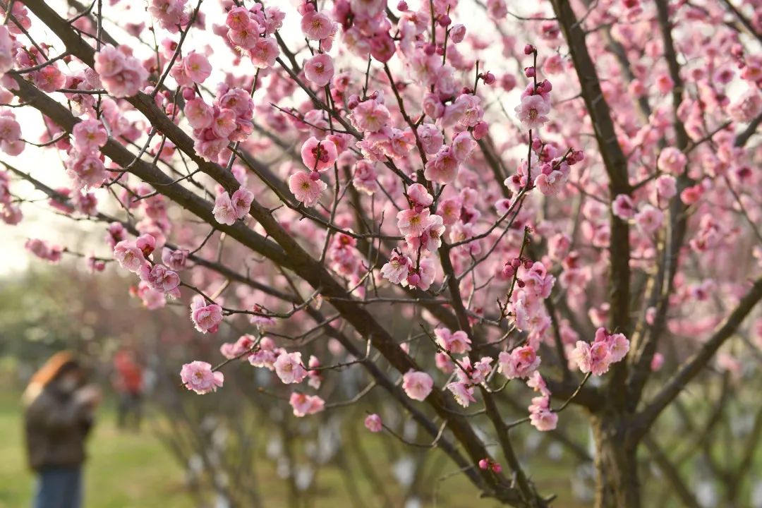 工行马鞍山分行：党建引领“星先锋”   用“心服务”进消防