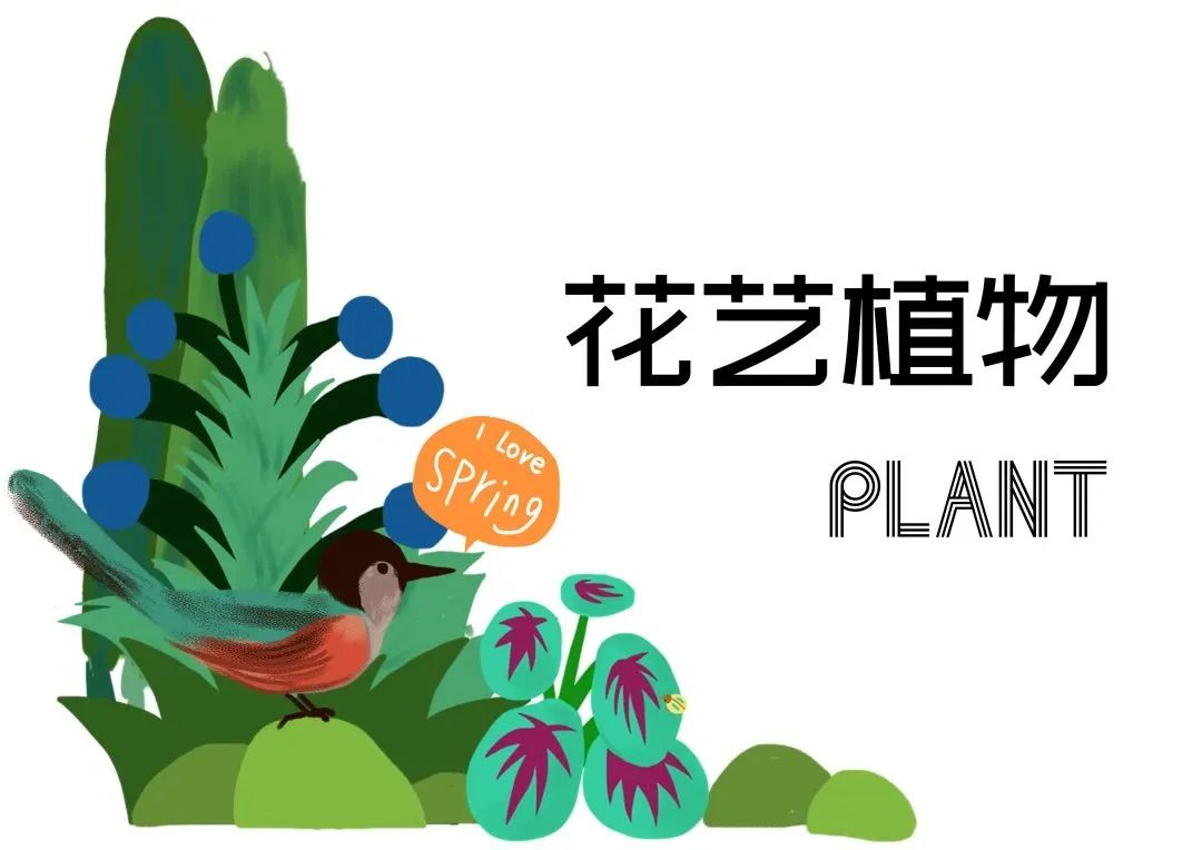 同安厦门后田获评院级美村庭丽乡拾厝 省