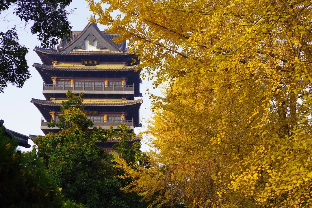 包公园照片 (13).JPG