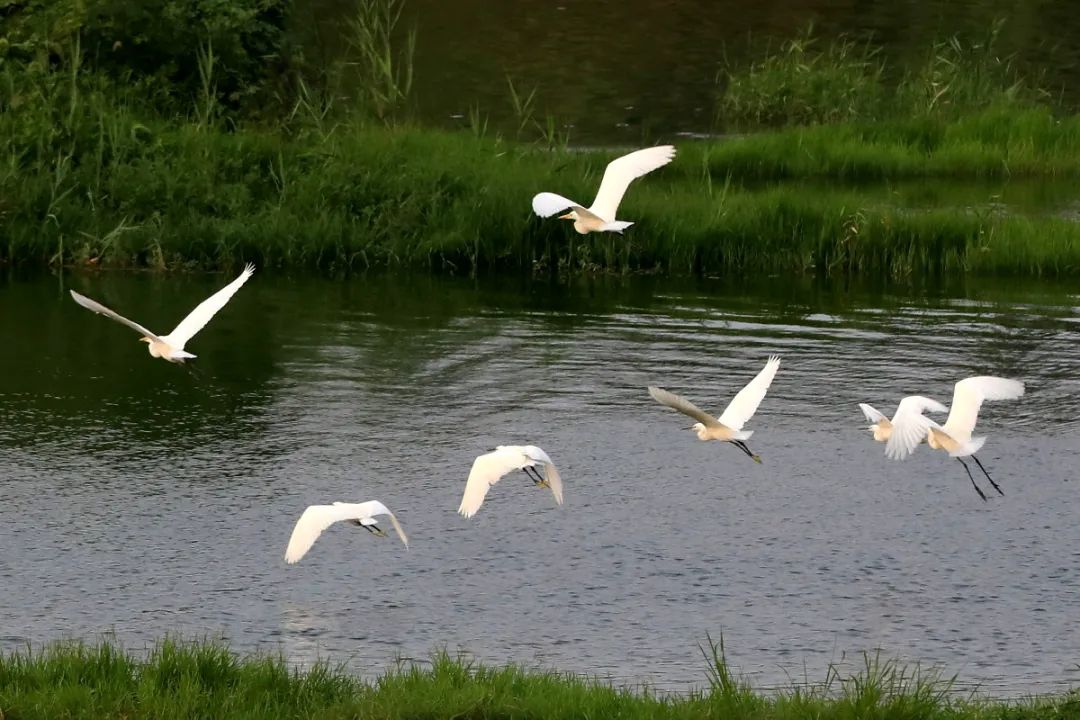 务写文章行关门服工行爱老合肥黄山好养人上融大路支老金