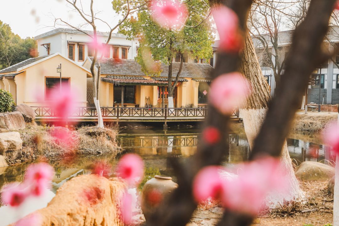 民给市厦门仙金鱼万株岳公园上草送