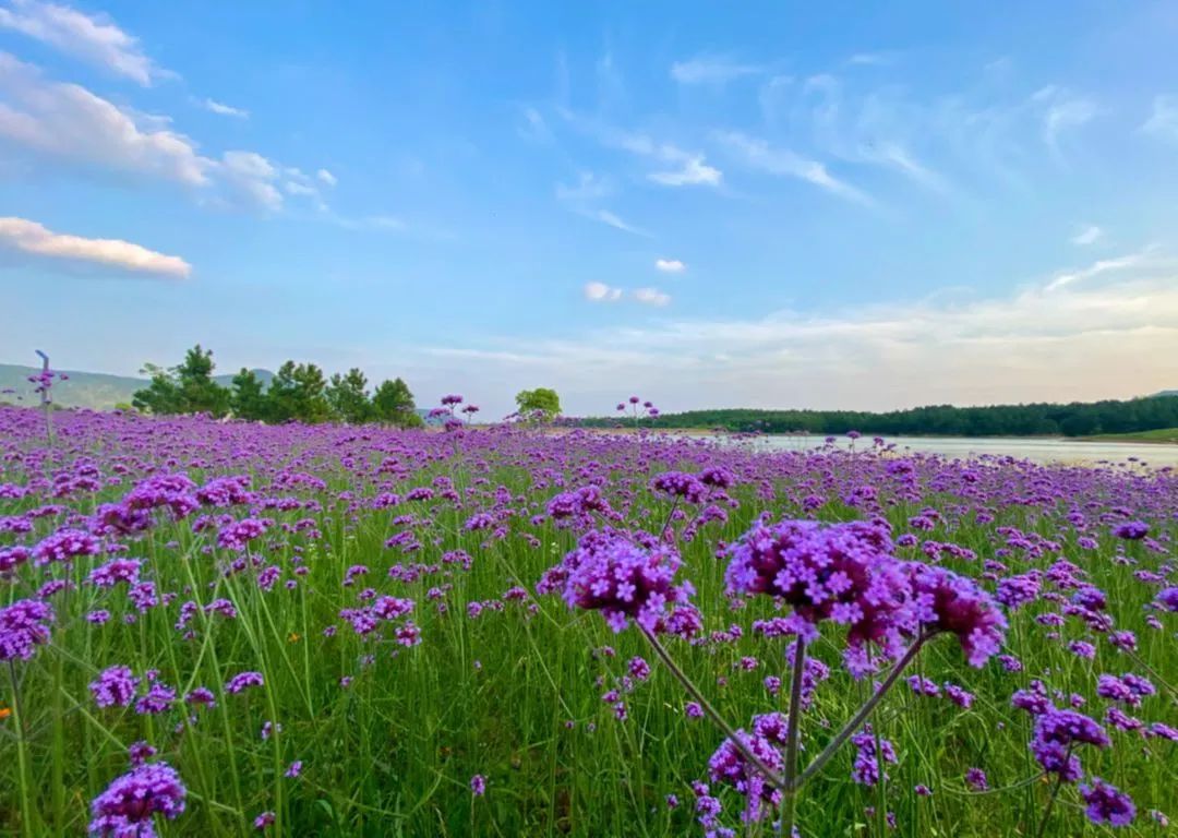 年轻人淡季态势公寓合肥市场上租客是长租呈现成以