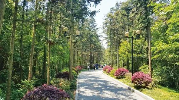 题系儿园县第端午动节主列活汉阴开展四幼