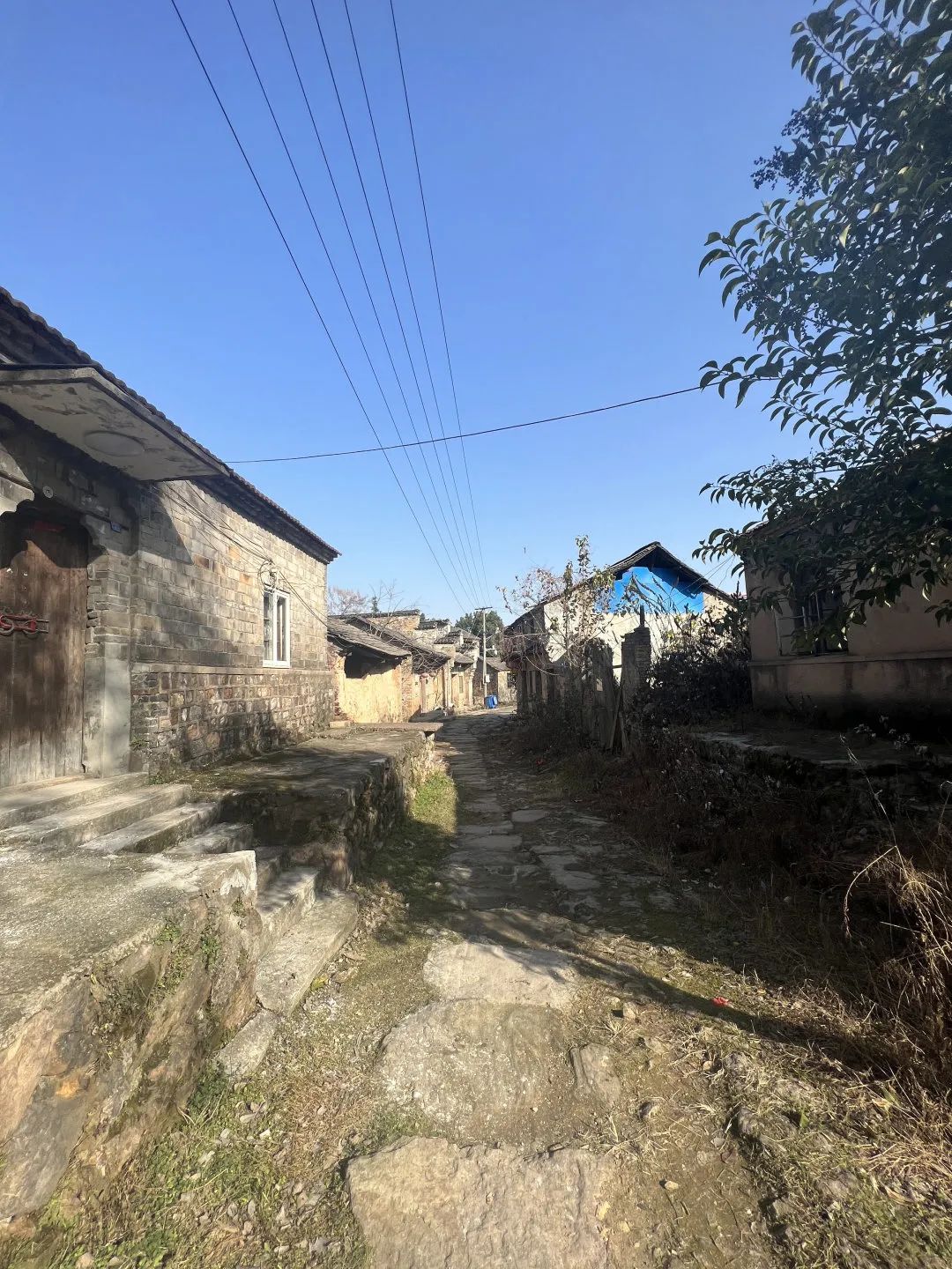 完成投资重点前1厦门项目个省1月6亿元市1