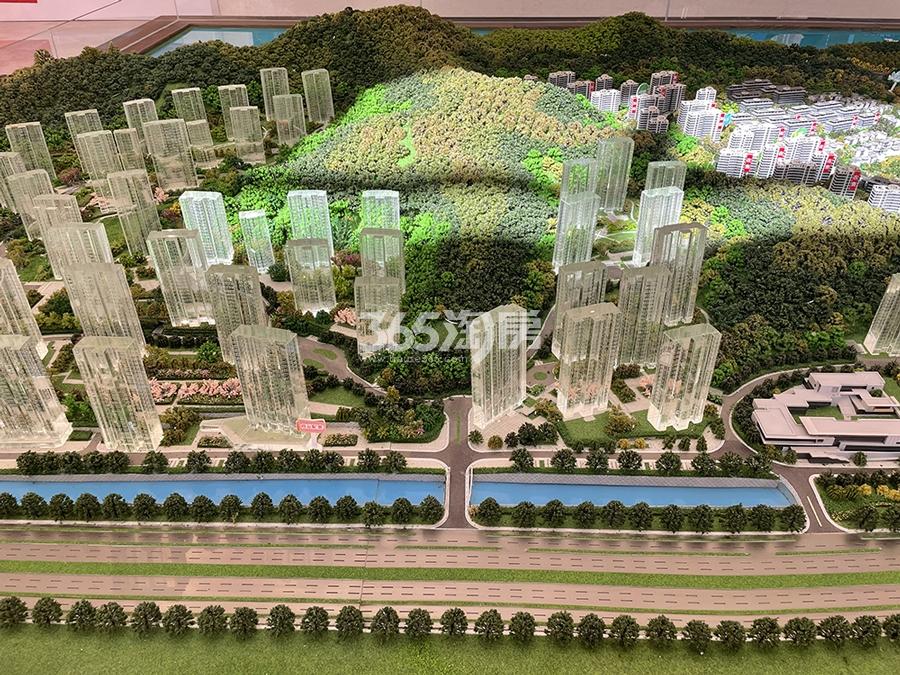 如沐清晖城沙盘实景