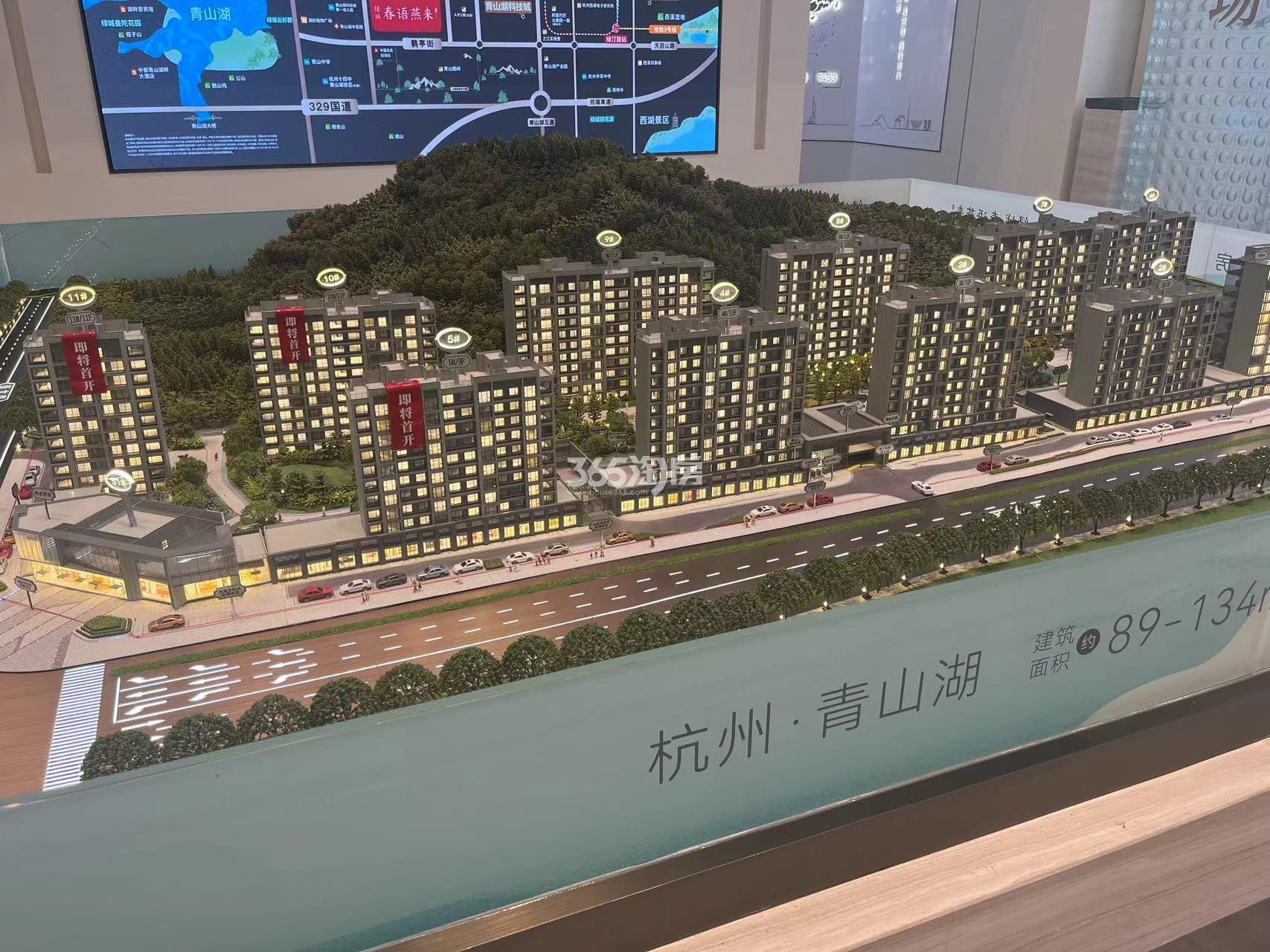 绿城春语燕来沙盘图