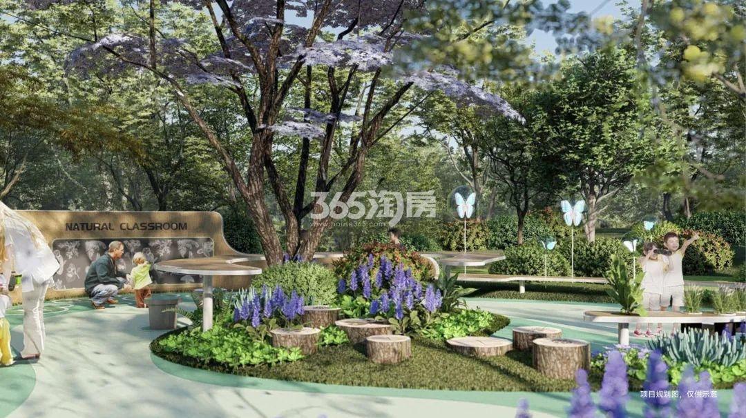 运晓花映里效果图