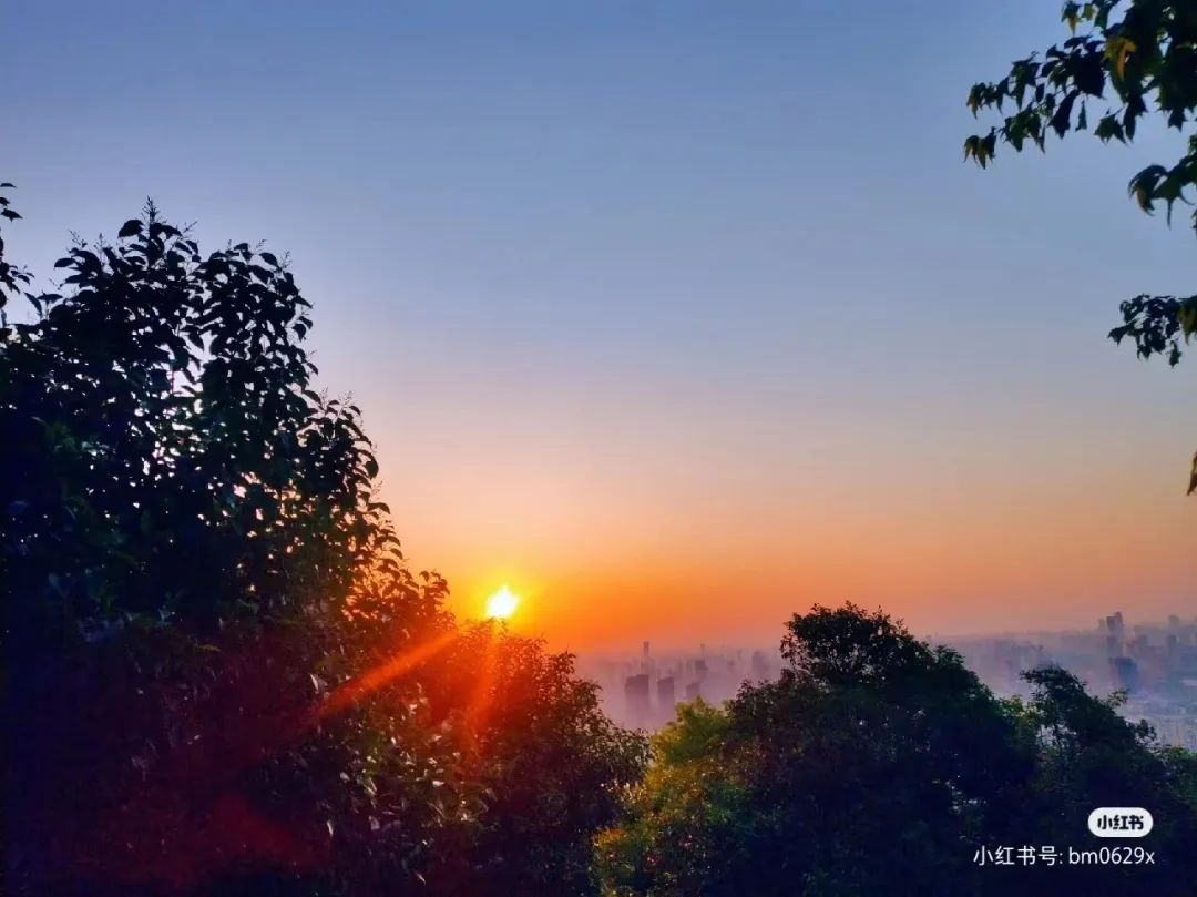 斩获多项荣誉！兴业银行安庆分行写好科技金融大文章