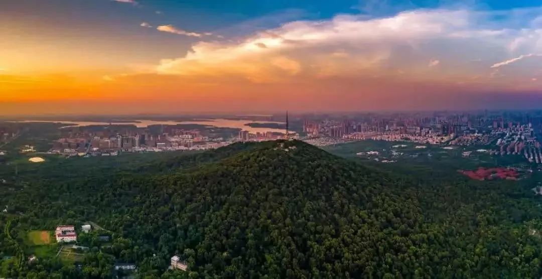 中信银行合肥分行：畅通现金支付渠道 优化现金支付环境