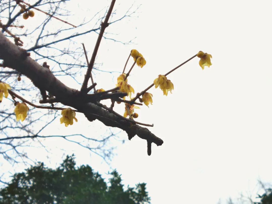 外金融贸新体系中信新潮流服务服务银行业态引领创新跨境数字