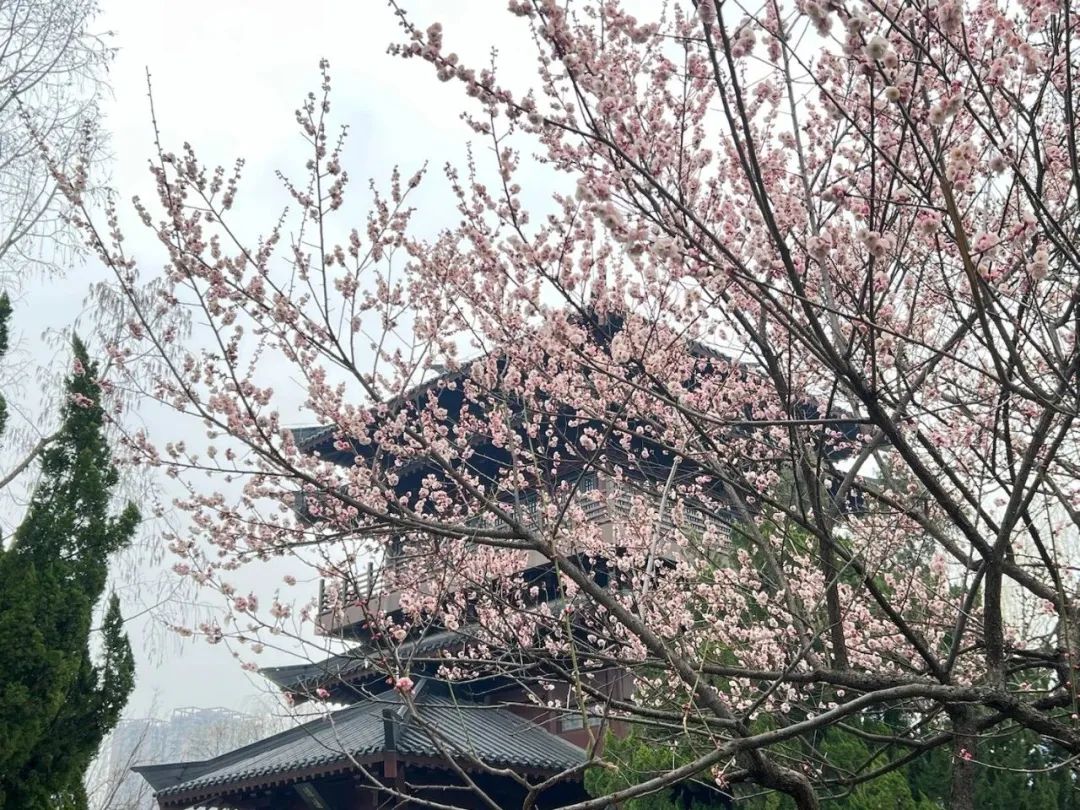 工商银行安徽省分行与省内六家房企签约 提供意向性融资支持逾200亿元