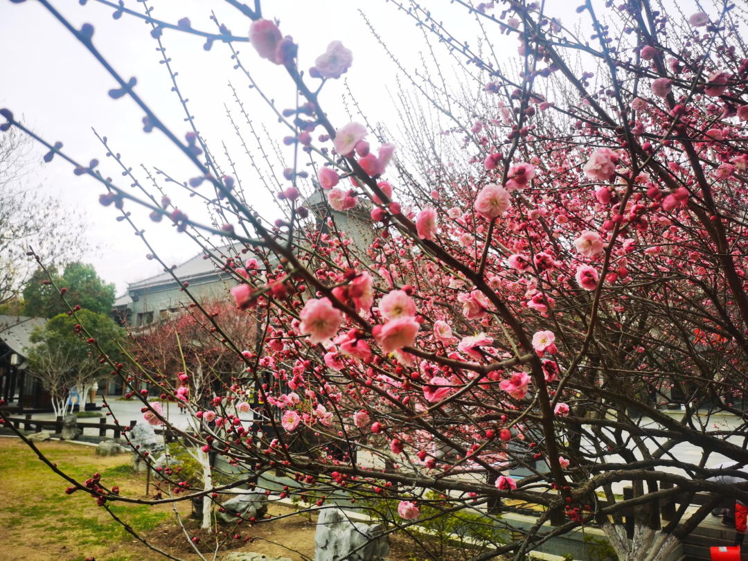 门获国首 厦手车试点批全批二出口惟一全省