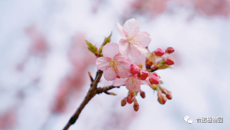 工商银行马鞍山分行全面做好客户服务 提升客户满意度