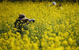 人工厦门的广智能助教助助评研用实现泛应