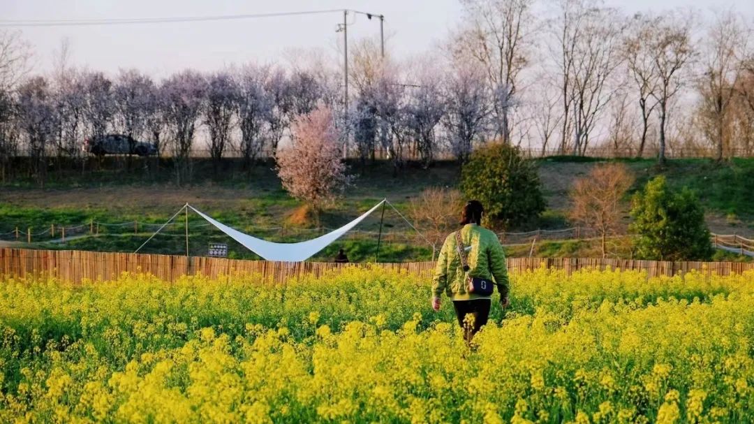 6年民措列便高校工人购票毕业线惠票增2务员可预约一系生新施上次单程优春运