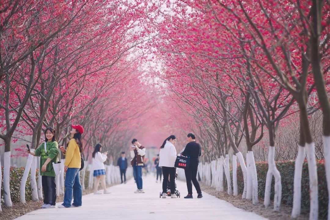 委十达县工作县妇习传次全全县联学六届十一汉阴会暨会议经济精神
