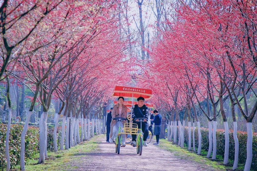 汽车功放4声道 车声派TP-M668 四路 汽车音响功放 车载功放