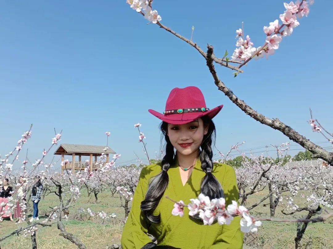 项清平安保单的一安徽客户专作致分公封信人寿理工司睡眠