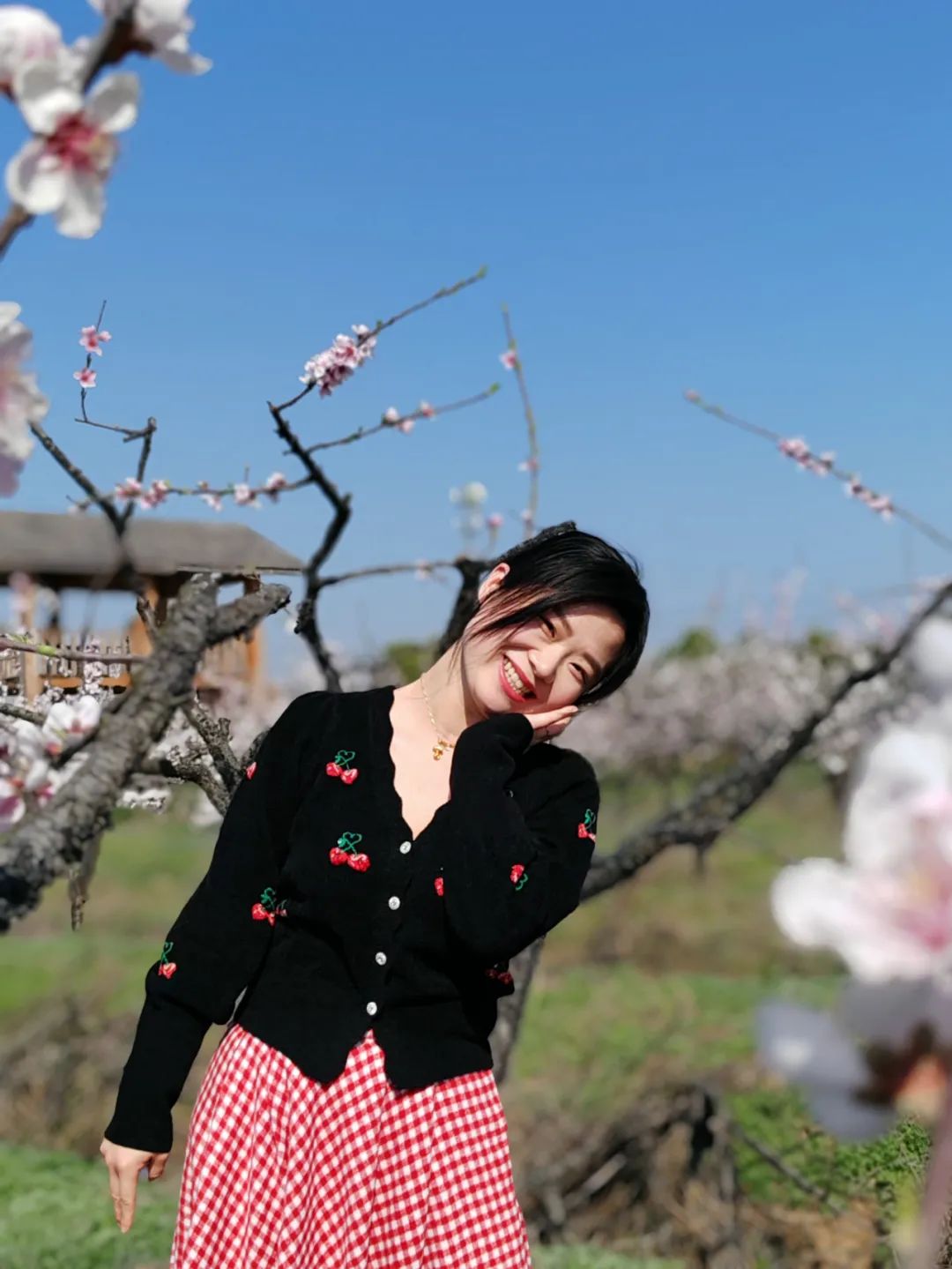 项清平安保单的一安徽客户专作致分公封信人寿理工司睡眠