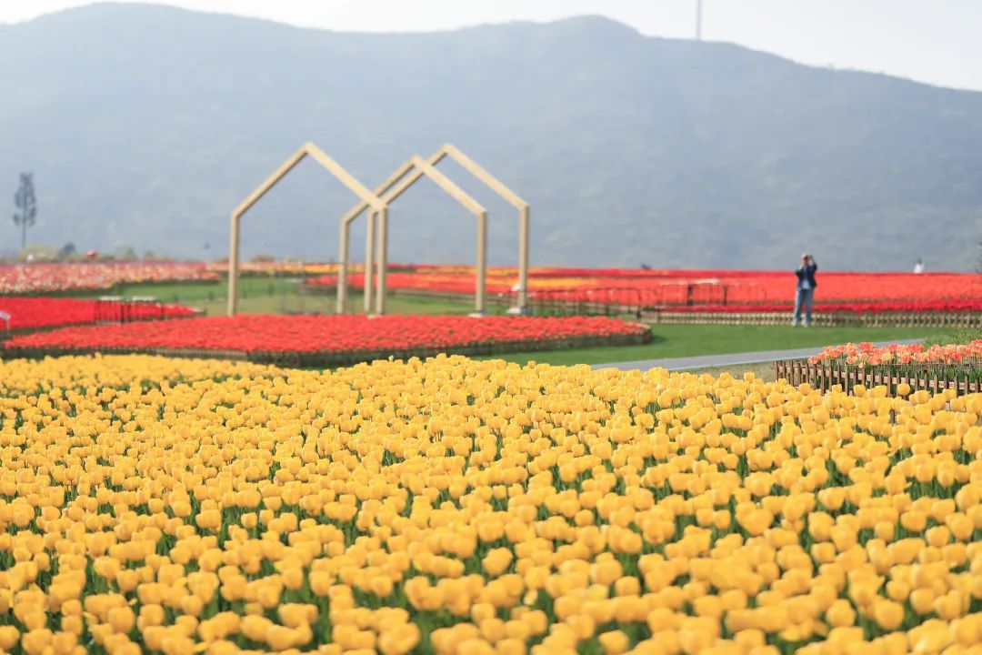助力转化批企业加速科技科技，兴行落业银研发地首贷创新成果