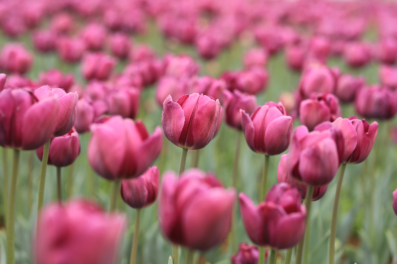 票据全国贷款林业落地资产质押首单生物三明