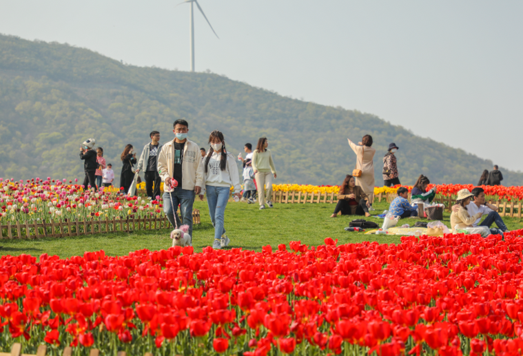 廖小花的幸福“变形记”