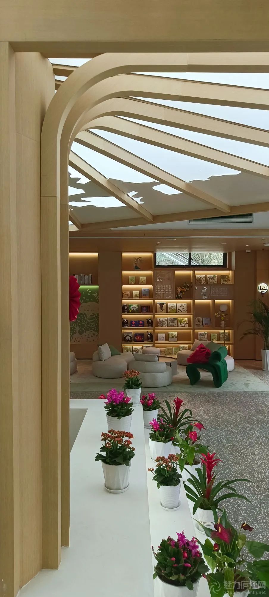 “沈福杯”安徽省首届寻找青少年喜爱的美食品牌（匠人）——金百万