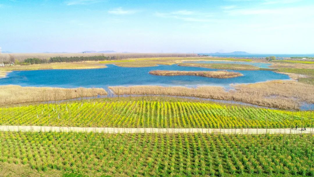 地全单农 落老区国首革命兴业项乡兴债及专具合肥资工务融银行垦类企业分行村振